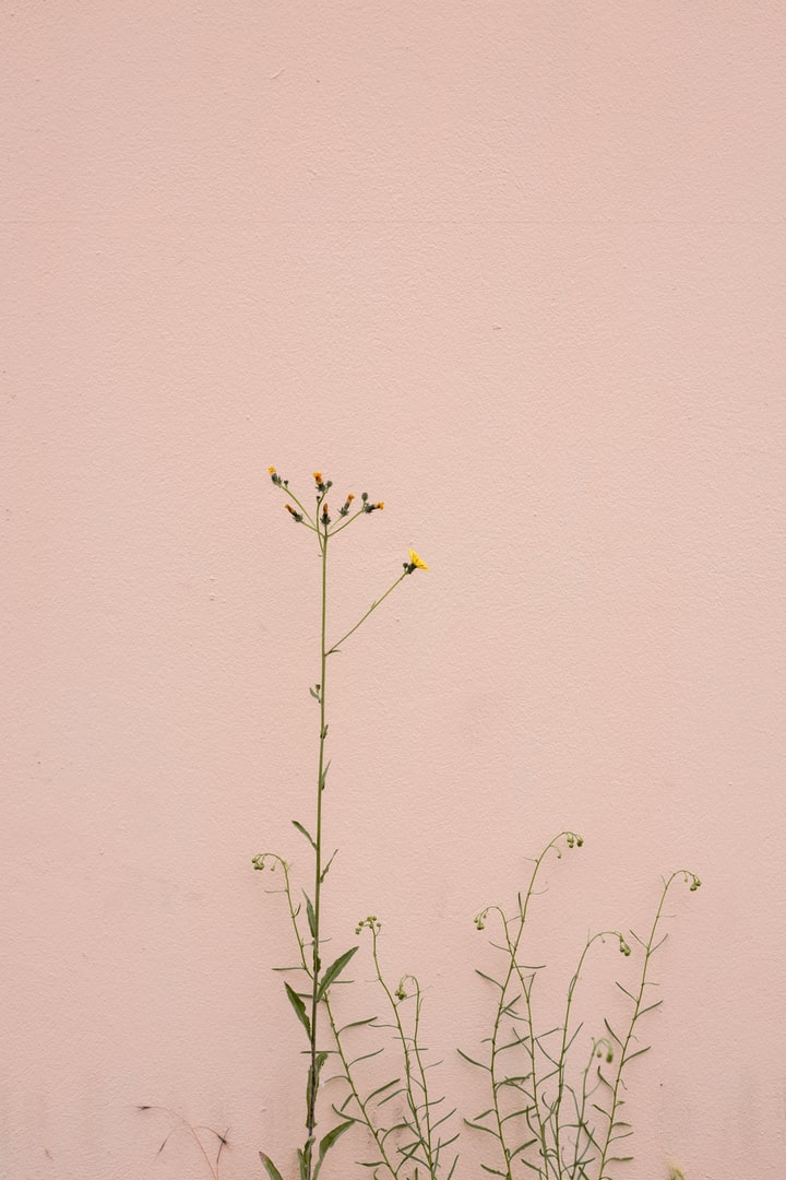 Foto di Marina Reich su Unsplash